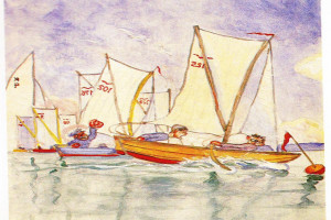 Bilde av Kragerøterne nr 231